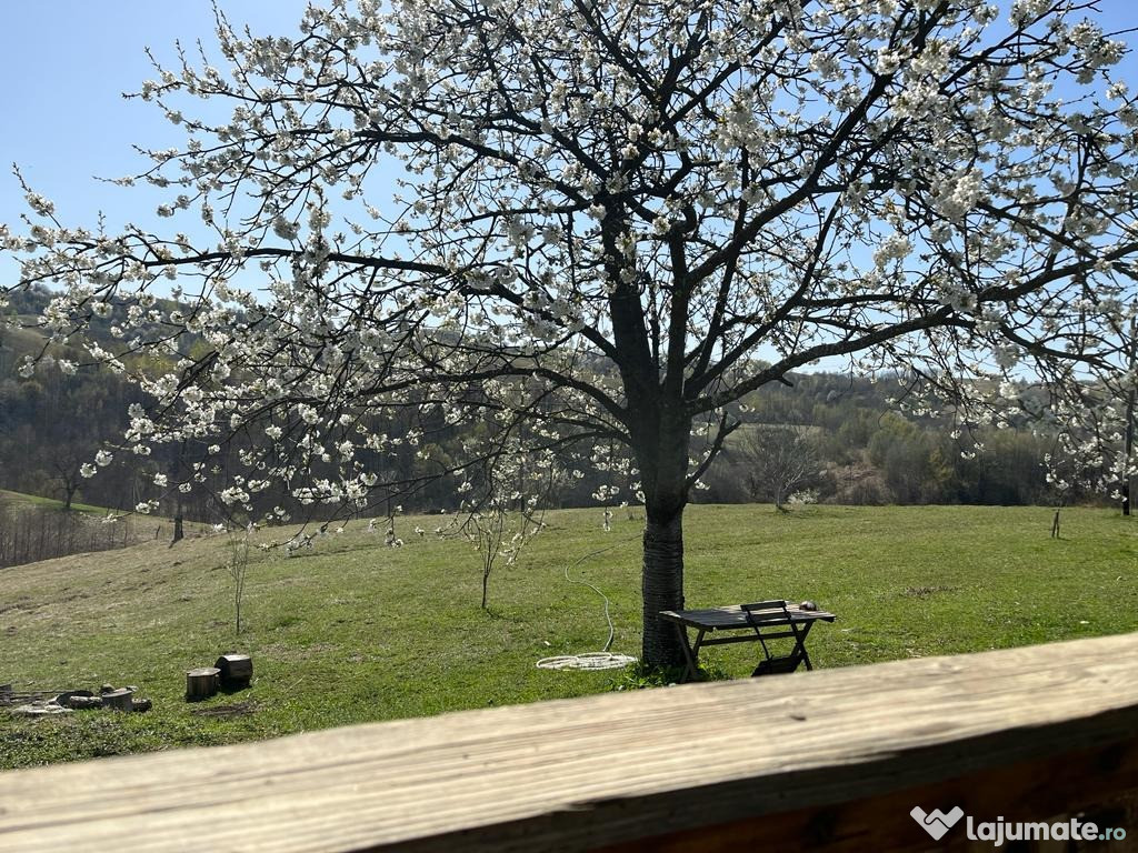 Oază de liniște în Târnova – 2 Case și 2 Hectare de Natură