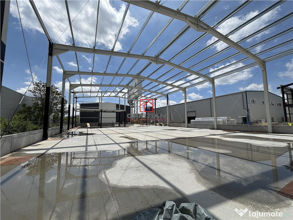 Depozit/hala/spatiu industrial Chiajna - A1 - Centura, ILFO