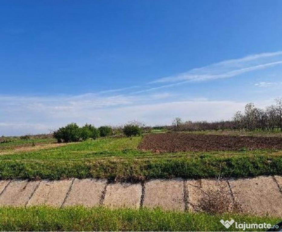 Teren extravilan, loc Obarsia, Jud Olt