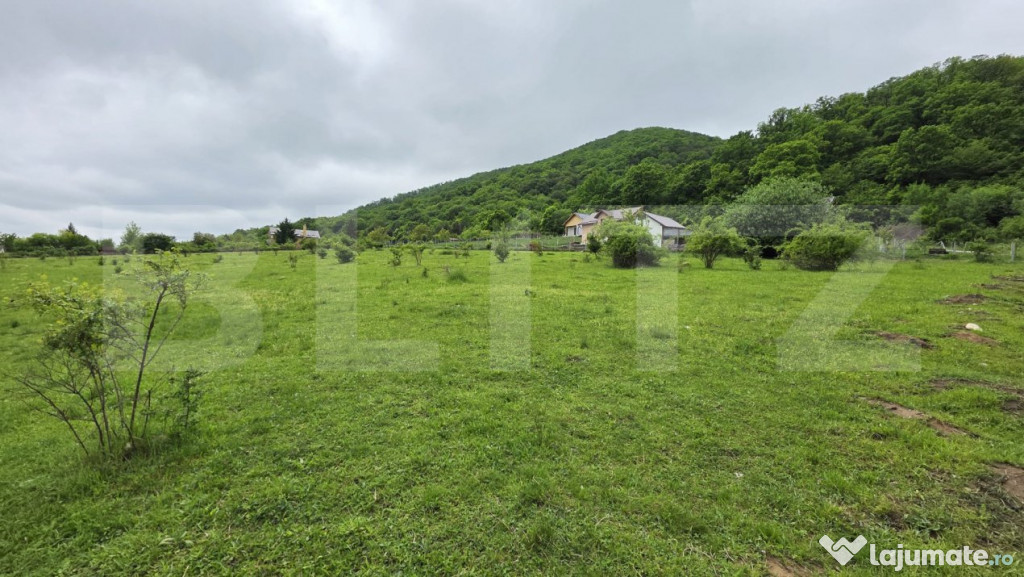 Teren intravilan 14,5 ari, Bistrita, zona sud