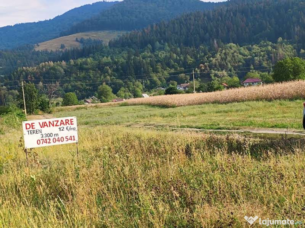 Teren intravilan Vaduri Neamț 3286mp
