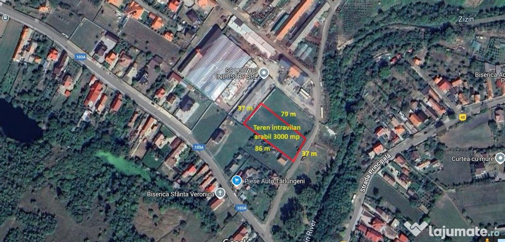 Teren intravilan, 3000 mp, Tărlungeni, DJ 103A