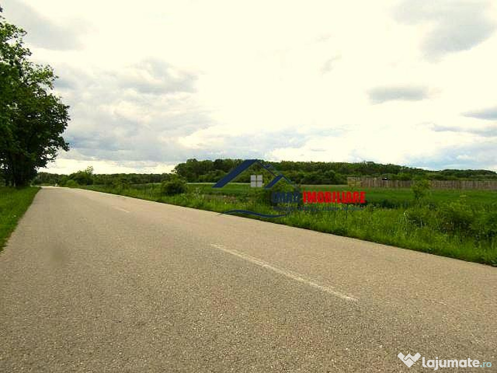 Langa Padure, super pozitie! teren intravilan in Targoviste