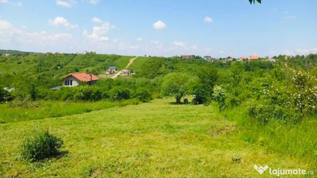 TEREN DE VANZARE PE DEALURILE ORADIEI