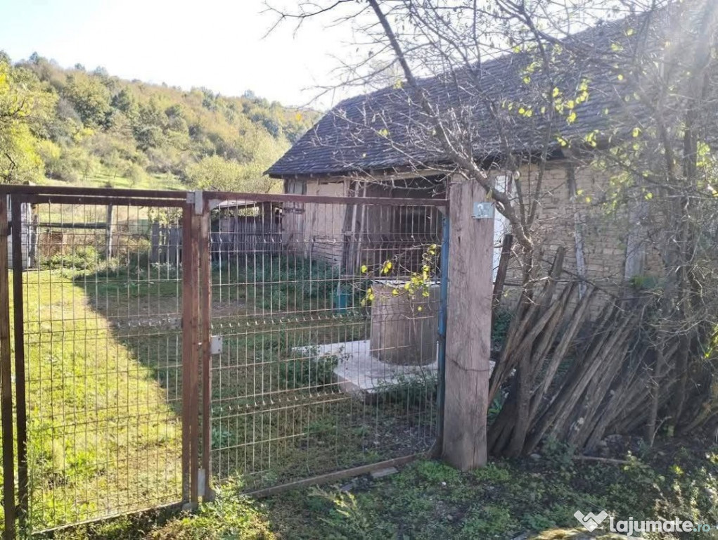 Teren de vanzare