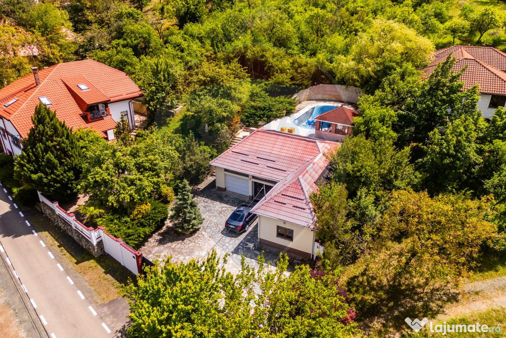 Vilă cu 6 camere de vânzare