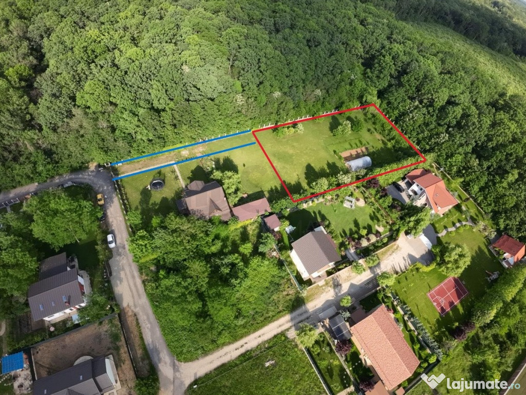 Teren intravilan in padure 3000mp cu Livada si imprejmuit