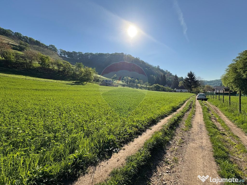 Teren 3,200mp Medias / Strada Greweln