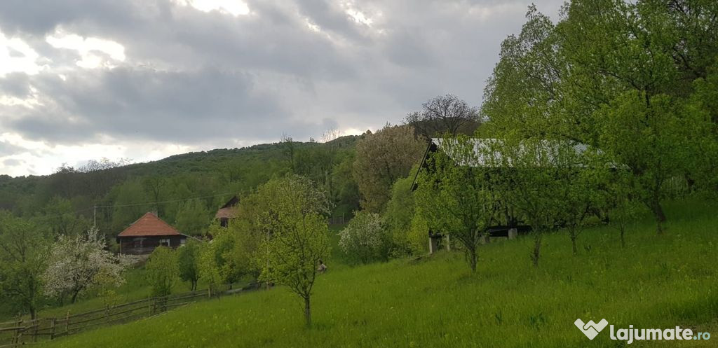 Teren de vanzare in Valea Doftanei - Sat Tesila