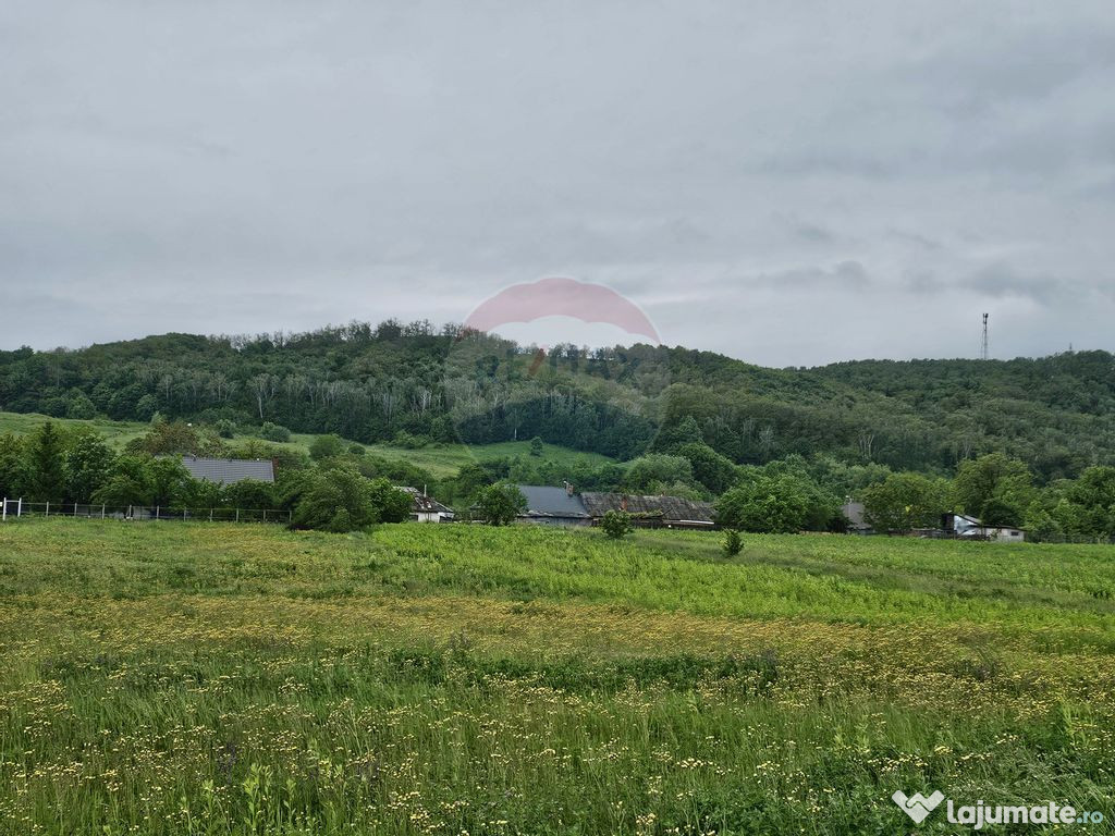 Teren 1,495mp Dobreni / Strada Parau Almas