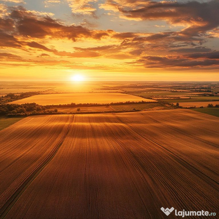 ???? Ferma agricolă premium – 1.000 ha cu cernoziom, V...