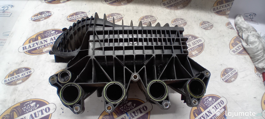 Galerie Admisie Plastic Skoda RAPID 1.2 Benzina 2011