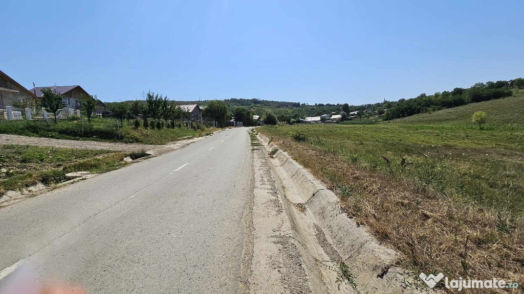Teren EXTRAVILAN 2.340mp, Dancas – Miroslava,