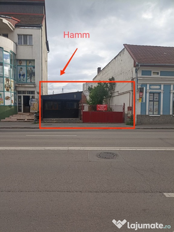 De vânzare spatiu comercial (casa particulara) Sfântu Gheorghe