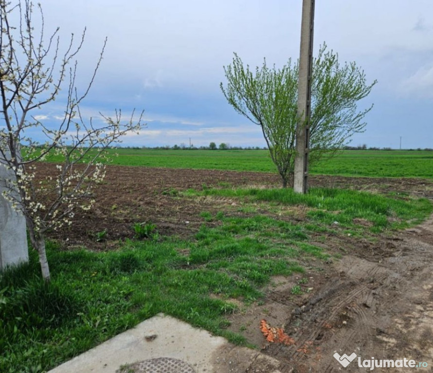 Vanzare 4500mp teren intravilan Aricestii Rahtivani
