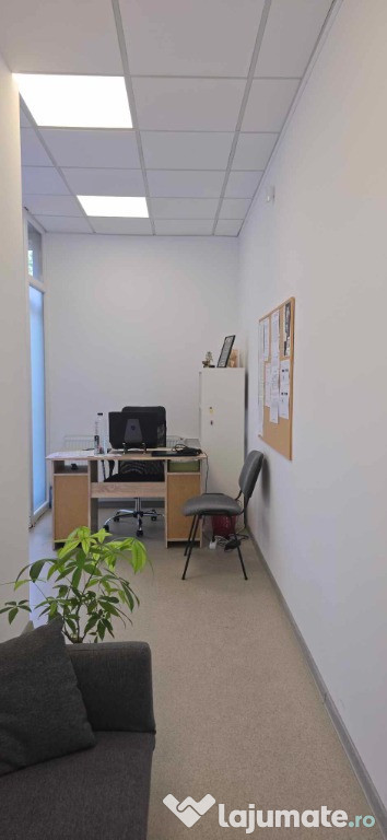 Spatiu comercial de inchiriat, Calea Aradului/str. N. Bolcas