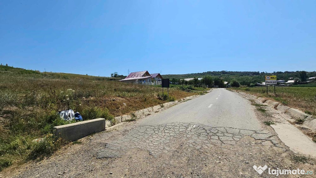Teren EXTRAVILAN 2.340mp, Dancas – Miroslava,