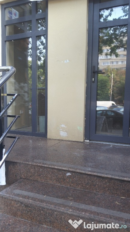 Spatiu comercial, S 17mp, Bld Iuliu Maniu, vad stradal,