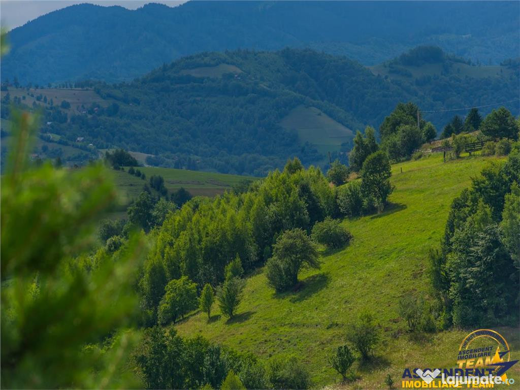 Oaza de liniste si frumusete,reconectare cu natura,16.000 mp