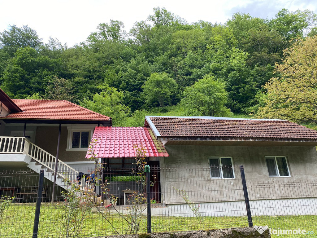 Vând casă si teren cu suprafață de 6523m