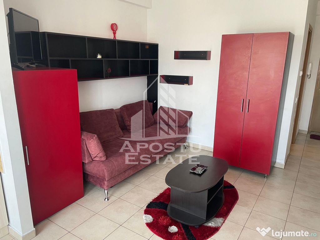 Apartament cu o camera Elizabetin