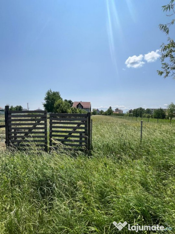 Teren intravilan ,2000 mp,Radauti