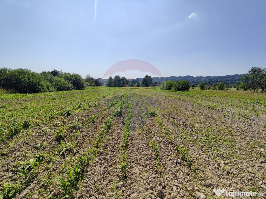 Teren Șișești de Vânzare