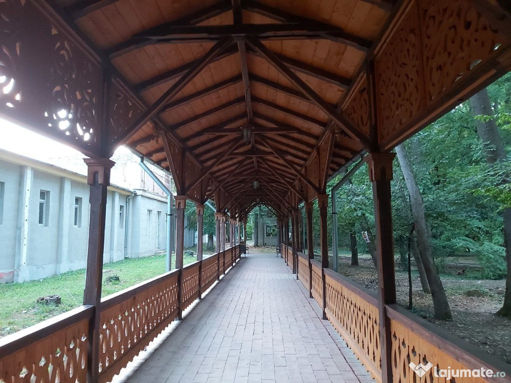 Casa Buzias Parc 286 mp