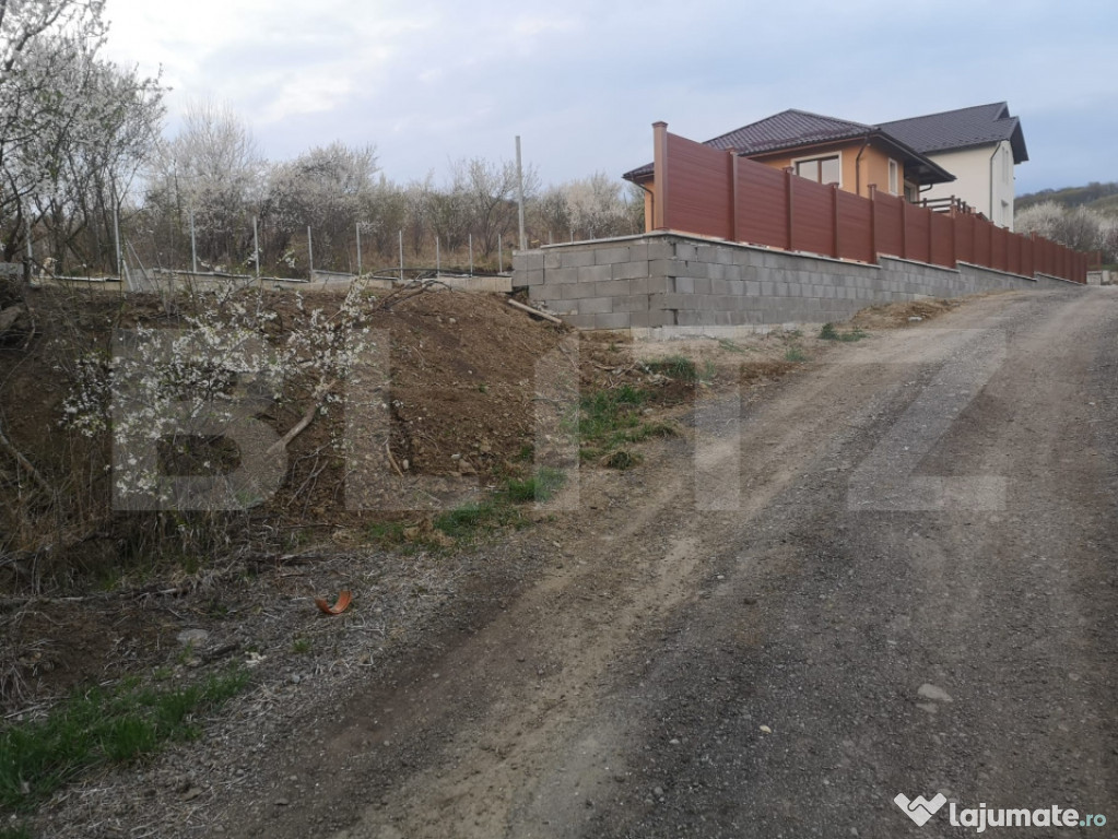 Oportunitate! Teren 1000 mp, intravilan, Livezeni – Cartie