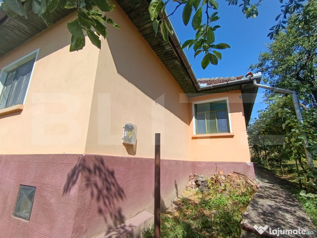 Casa cu 3 camere, în suprafață de 65 mp și teren de 1000