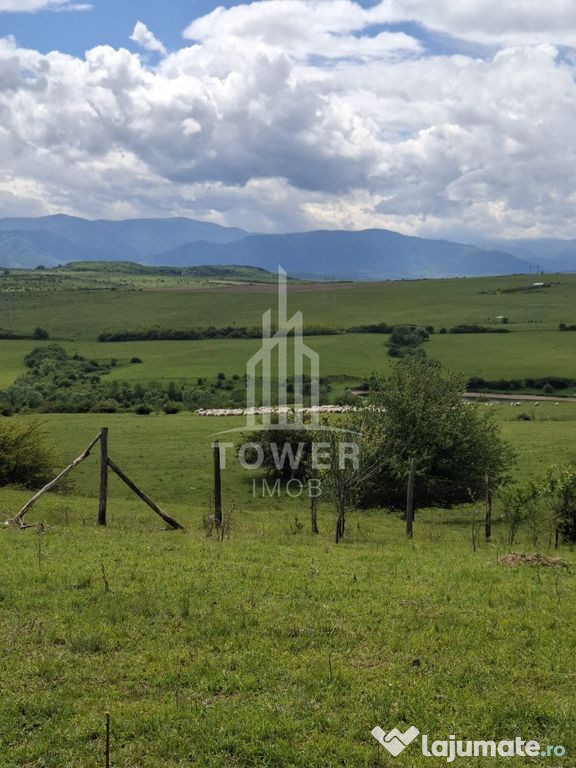 De vanzare, teren 11.500 mp – Dealul Dăii, Vedere pano...