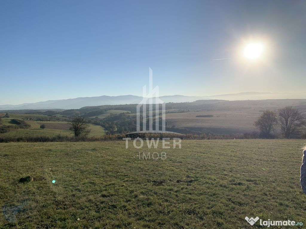Teren pentru constructie cabana in Dealul Daii-parcele de...