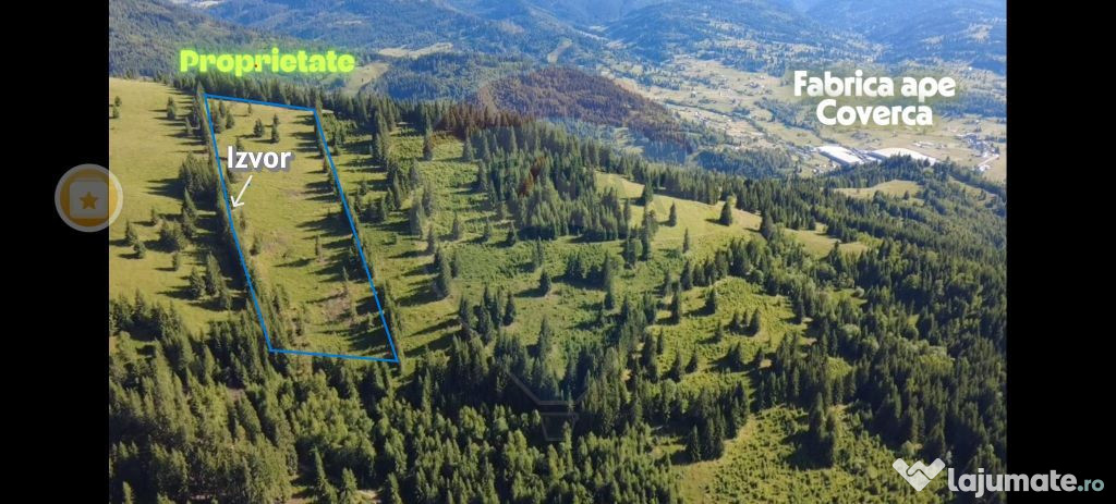 Teren 24,581mp Panaci / Strada Mihăileț