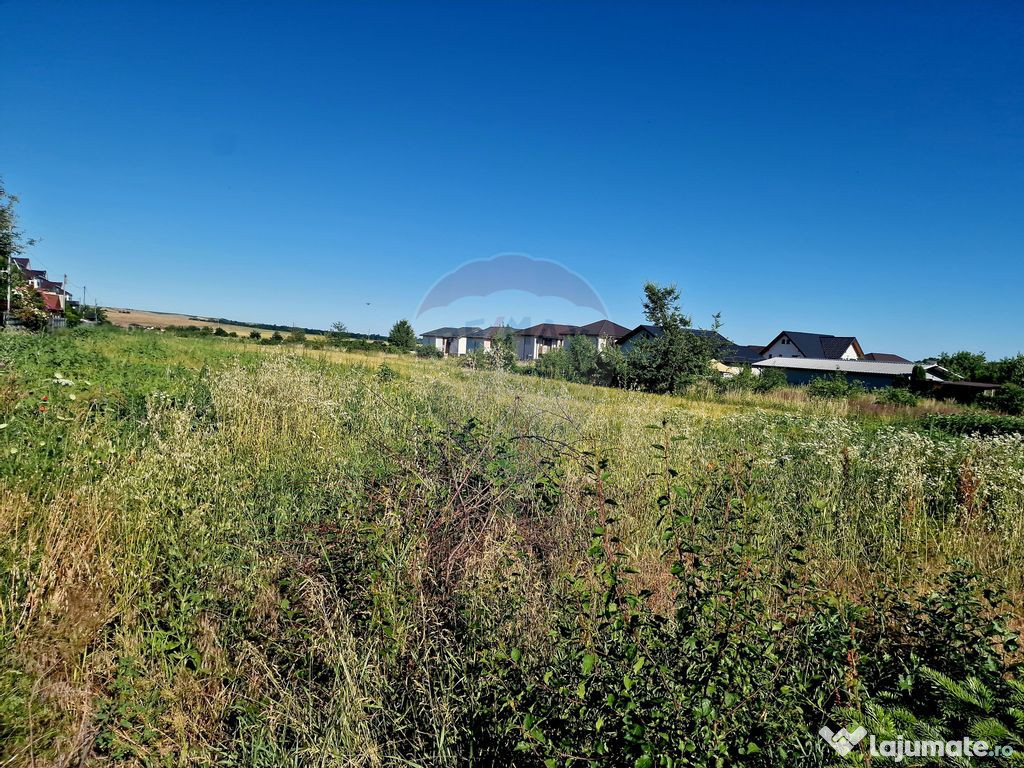 Teren 3.538 mp – Zonă în Dezvoltare, Piatra Neamț