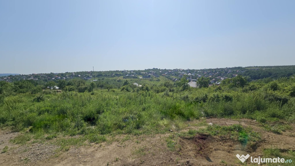 Teren intravilan , Bucium Barnova