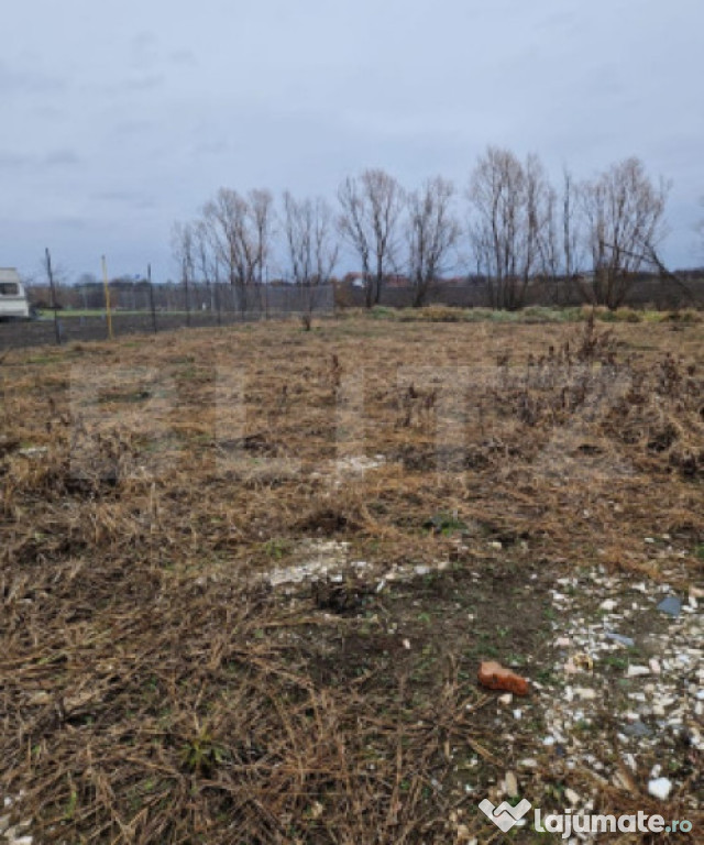 Teren extravilan agricol , Balta Blonda