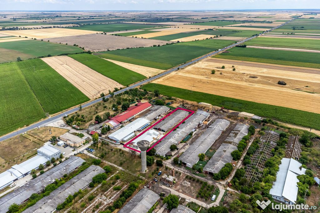 Abator și carmangerie DN7 - Nădlac