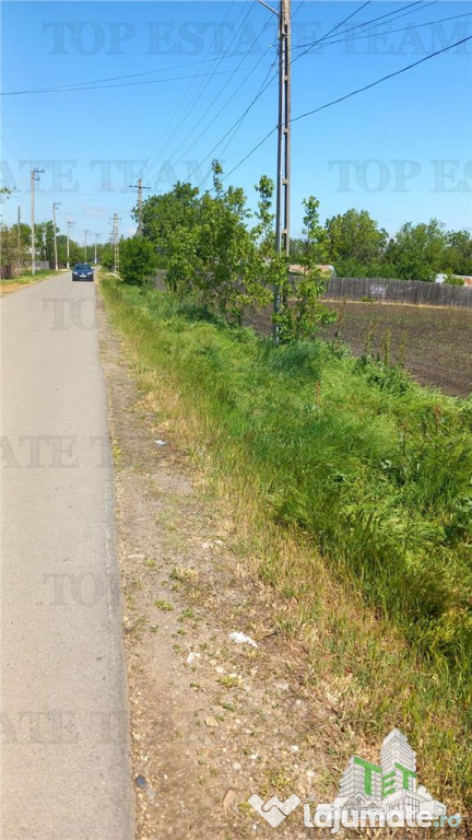 Teren Stanesti - Giurgiu, intravilan, drum asfaltat, gaz, cu