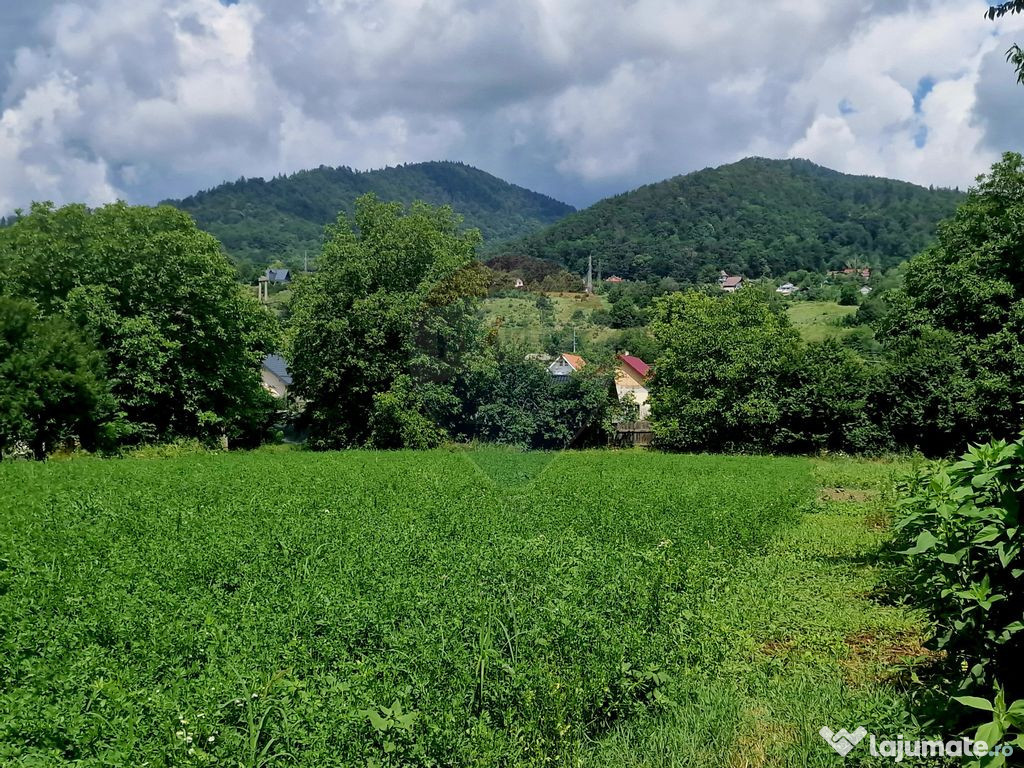 Teren intravilan 1000 mp – Viișoara, utilități