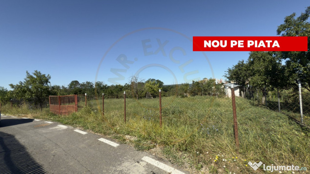 Teren generos de 1350 mp Budeasa Galasesti -Arges!
