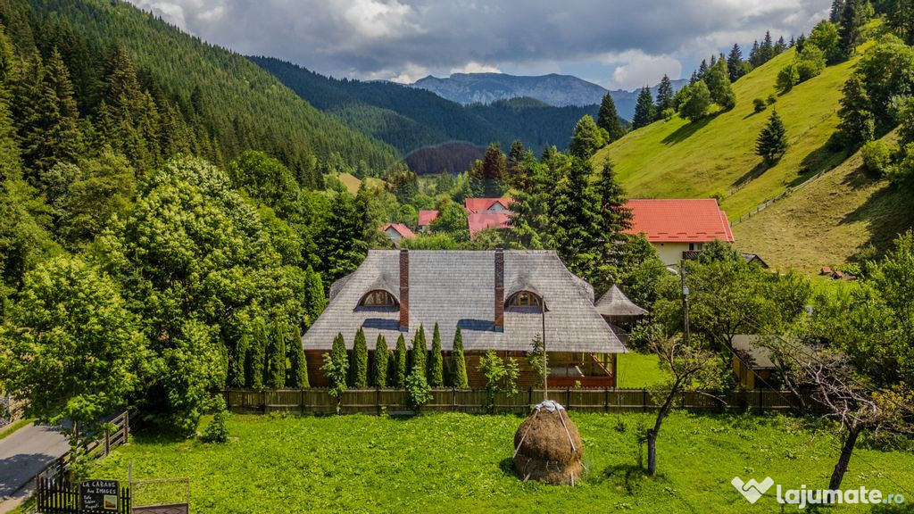 CASA CARAMITRU | POVESTE VIE SI ISTORIE CULTURALA | MOIEC...