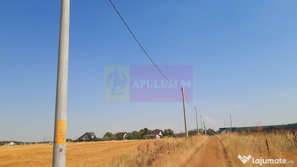 Teren pentru casă/case în Brănești pe strada Toporași