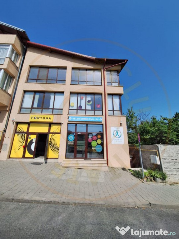 Spatiu Stradal Cu Vad Format - Razboieni