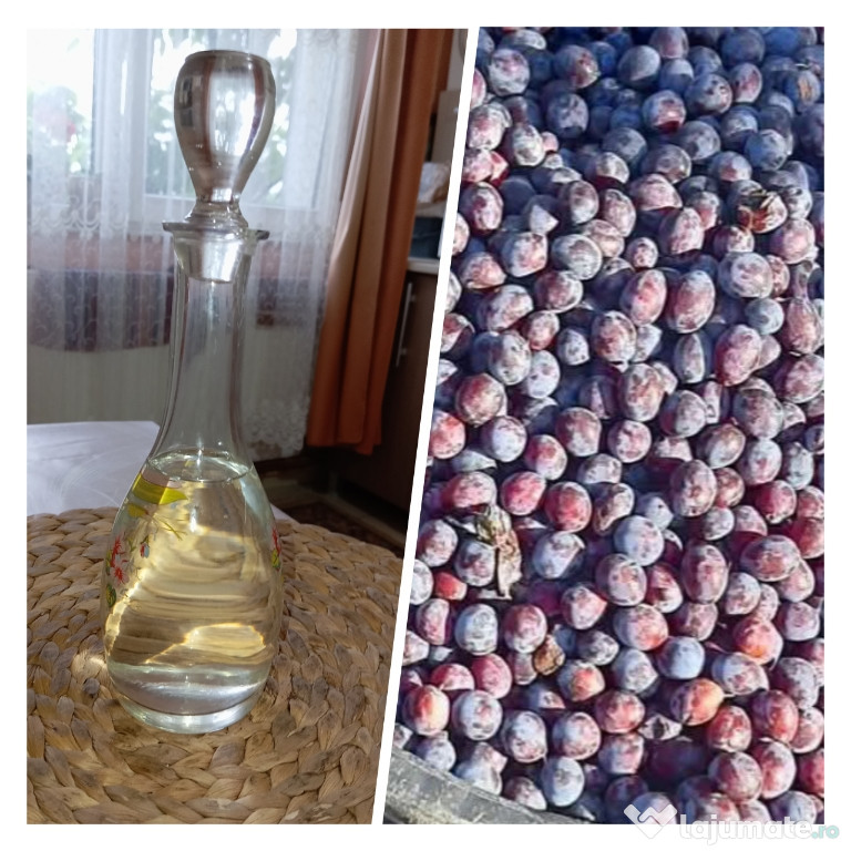Palinca de PRUNE