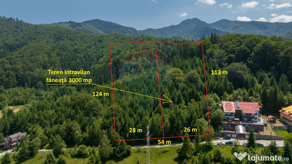 Teren intravilan, 3000 mp, Dâmbu Morii