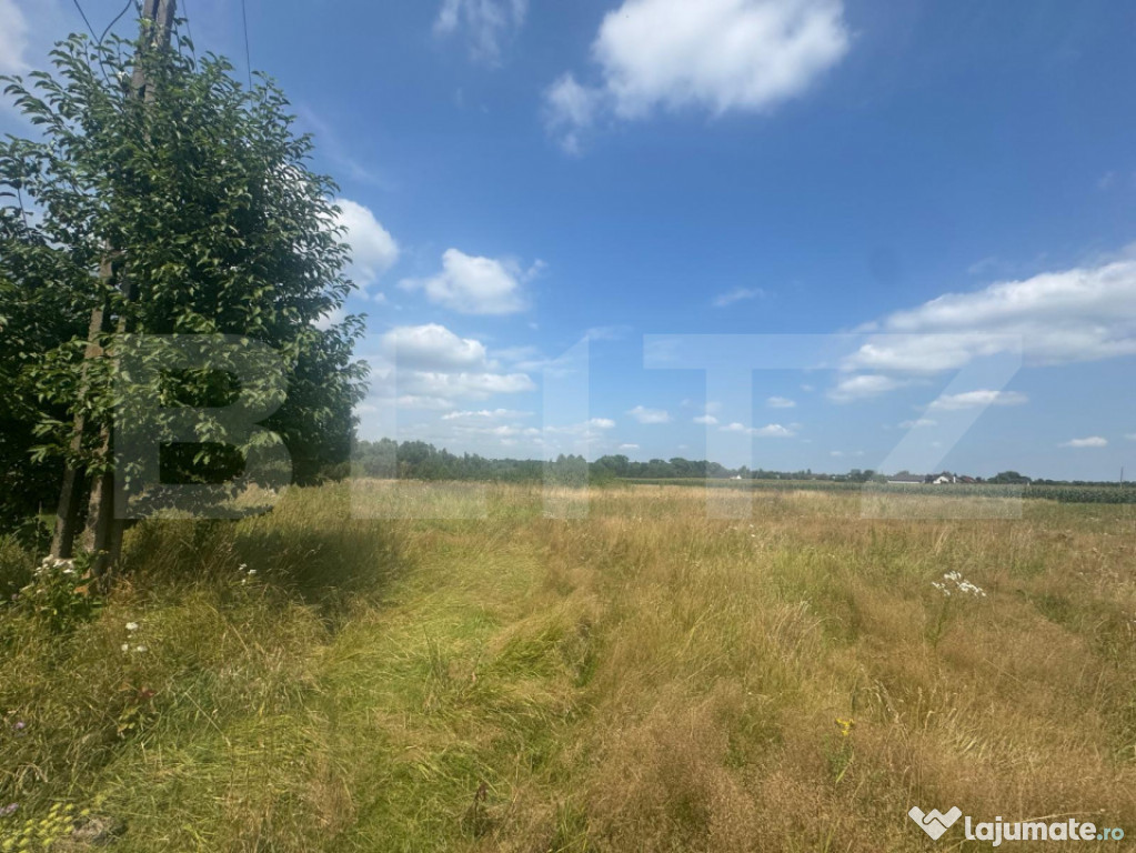Teren intravilan, 5.041 mp, Horodnic de Jos