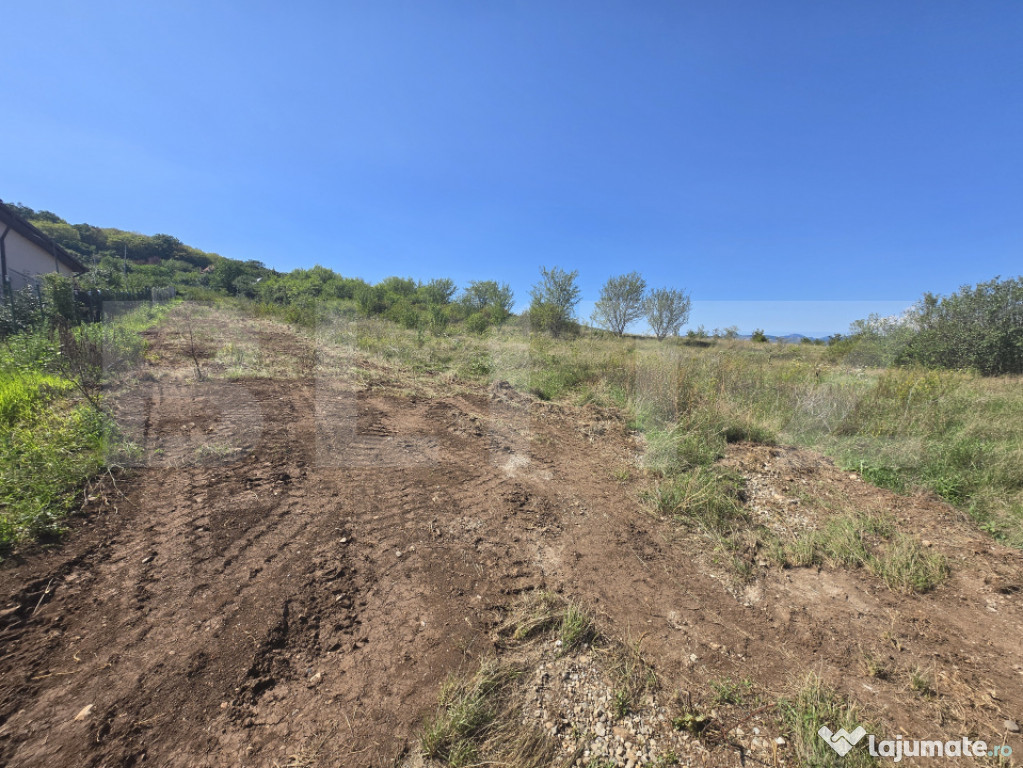 Teren intravilan, 1402 mp, zona Micesti
