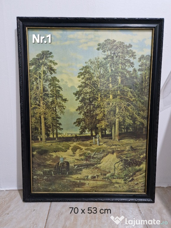 Tablouri de colecție