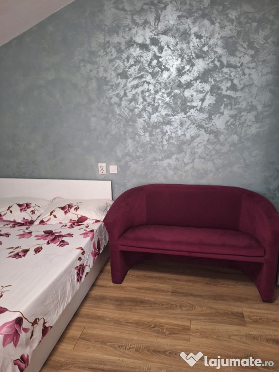 Apartament 1 camera langa Universitatea Cuza