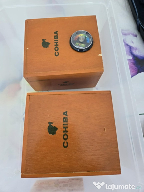 Cohiba cubaneze.